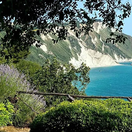 Emilia 4* Ancona